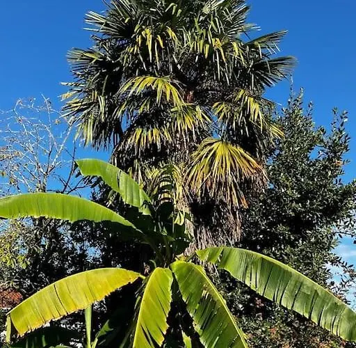 Lagunen Etxea אונדאיי